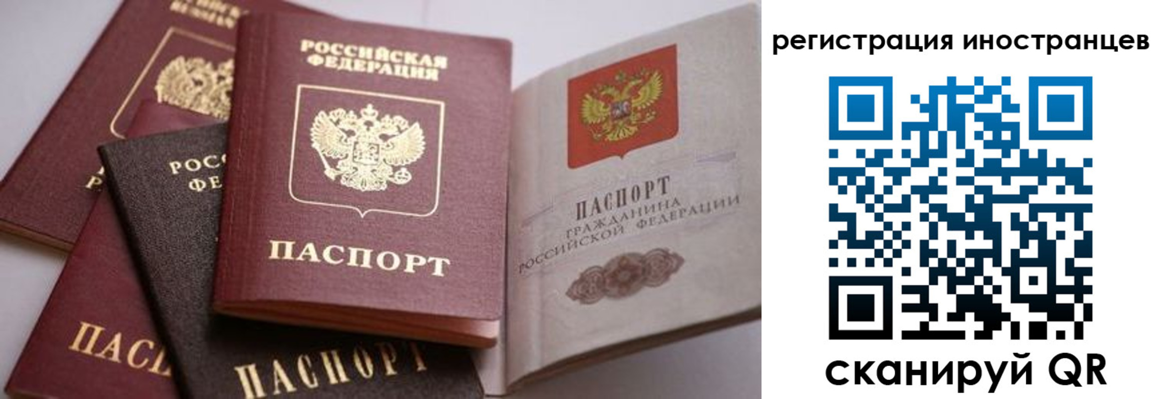прописка штамп в Сосновке